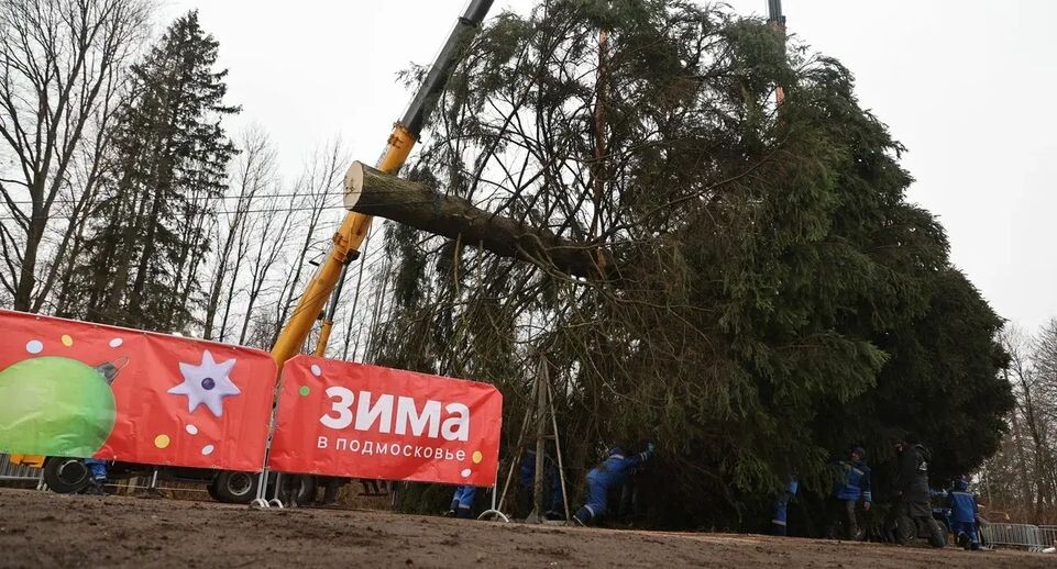    Пресс-служба губернатора Московской области