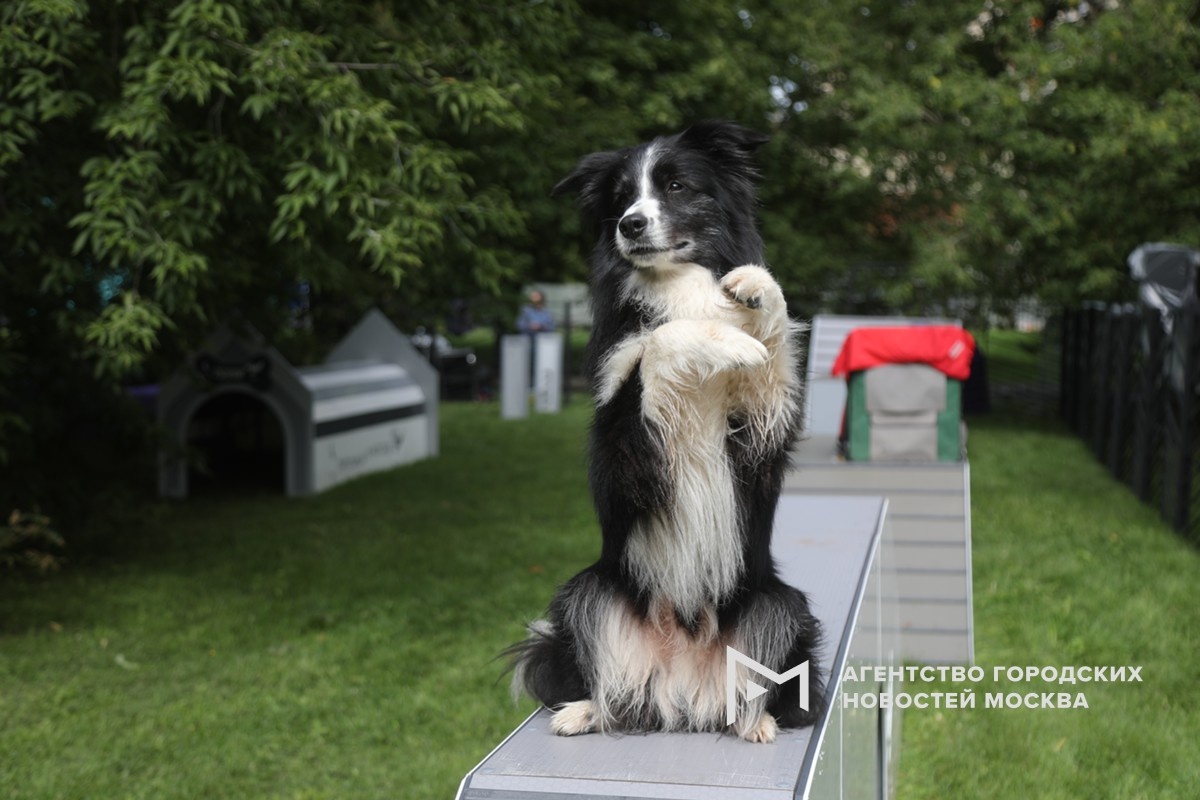 Фотограф: Артур Новосильцев
