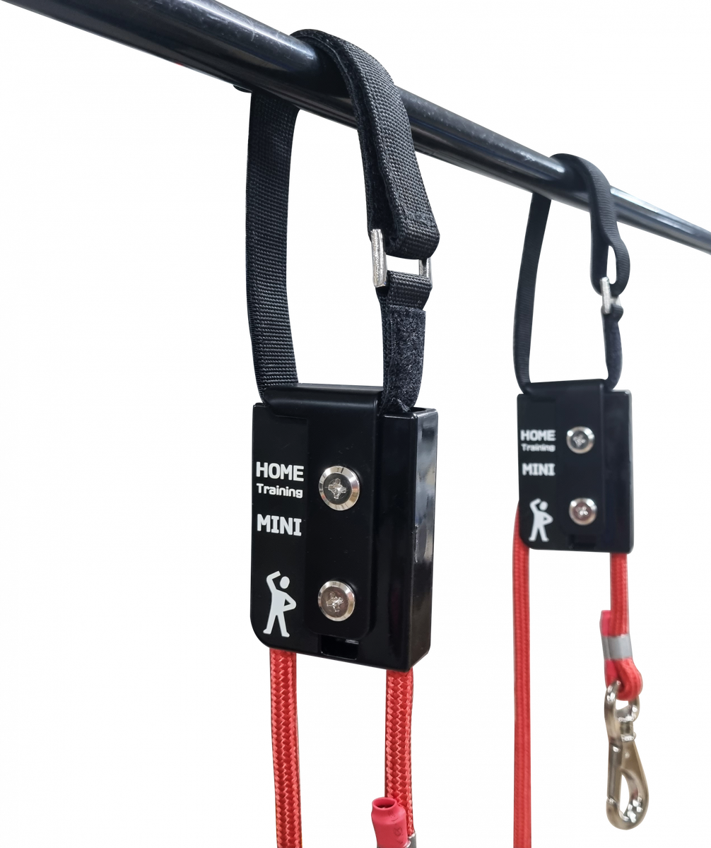 Вариант установки системы MARPE Sport Home Sling System на перекладину