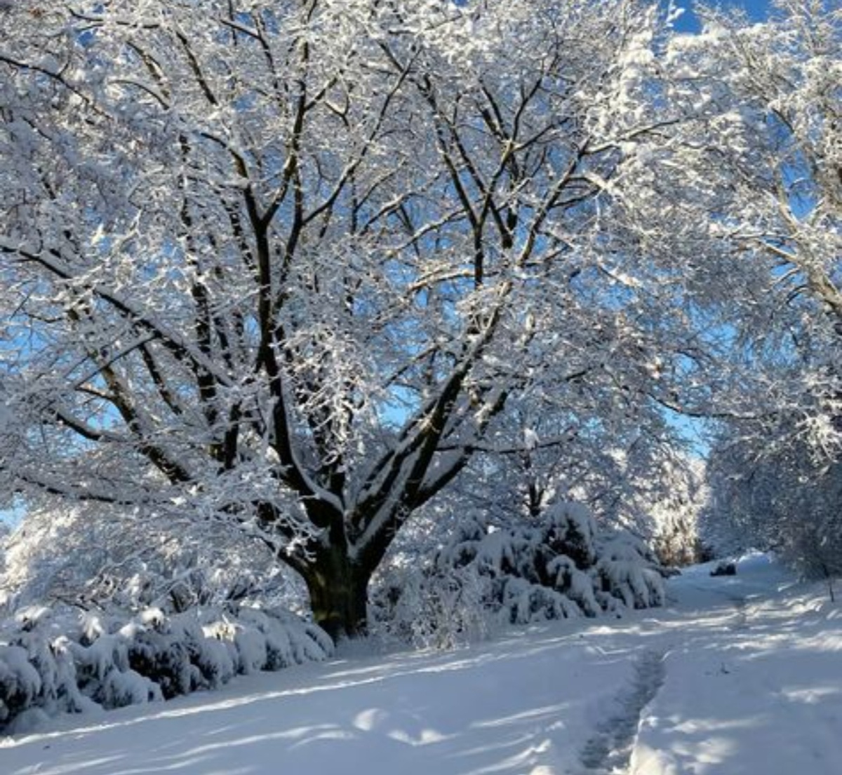 Для обложки