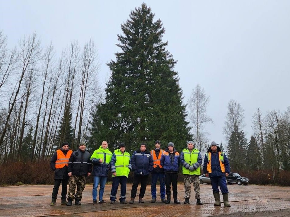    Фото: Министерство транспорта и дорожной инфраструктуры Московской области