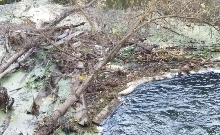    фото Курские известия