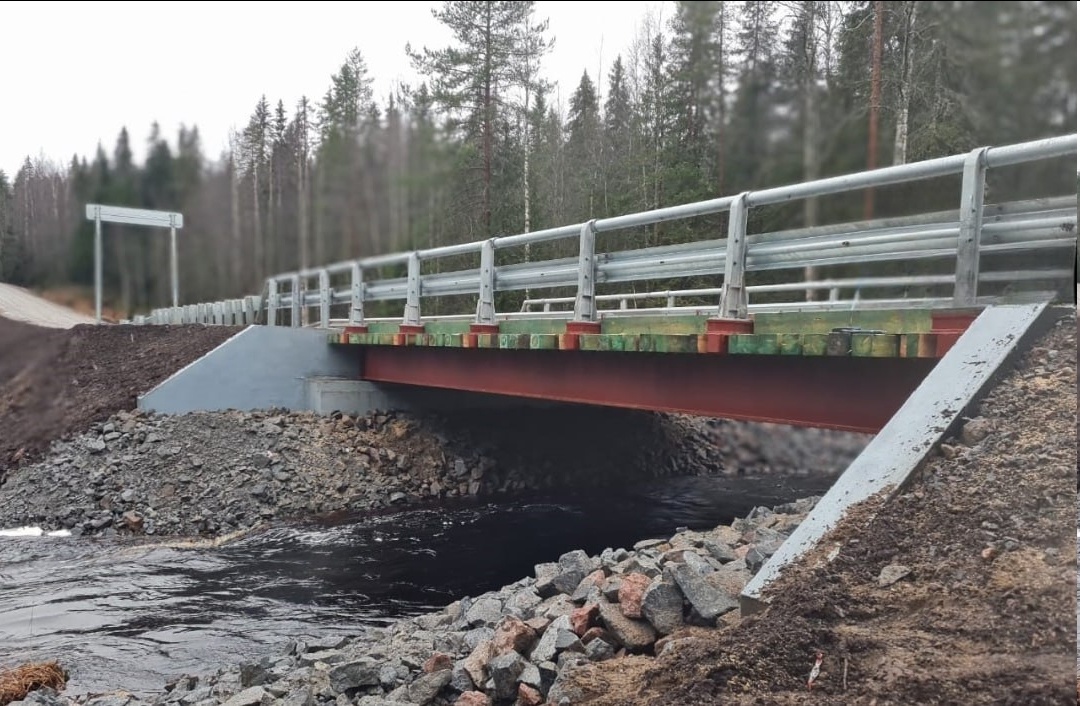    со страницы главы Карелии Артура Парфенчикова