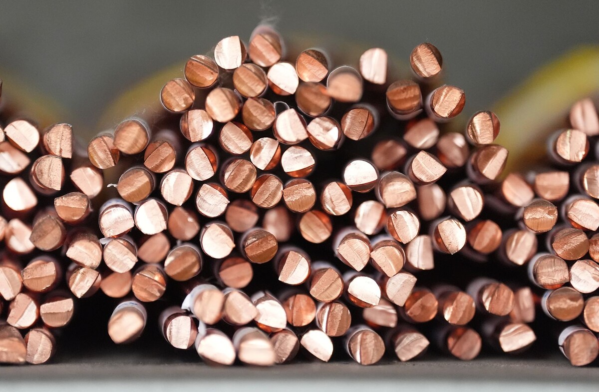     / Источник: © dpa/picture-alliance/Marcus Brandt/TASS