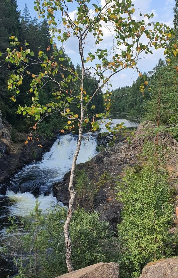 Водопад Кивач в Карелии
