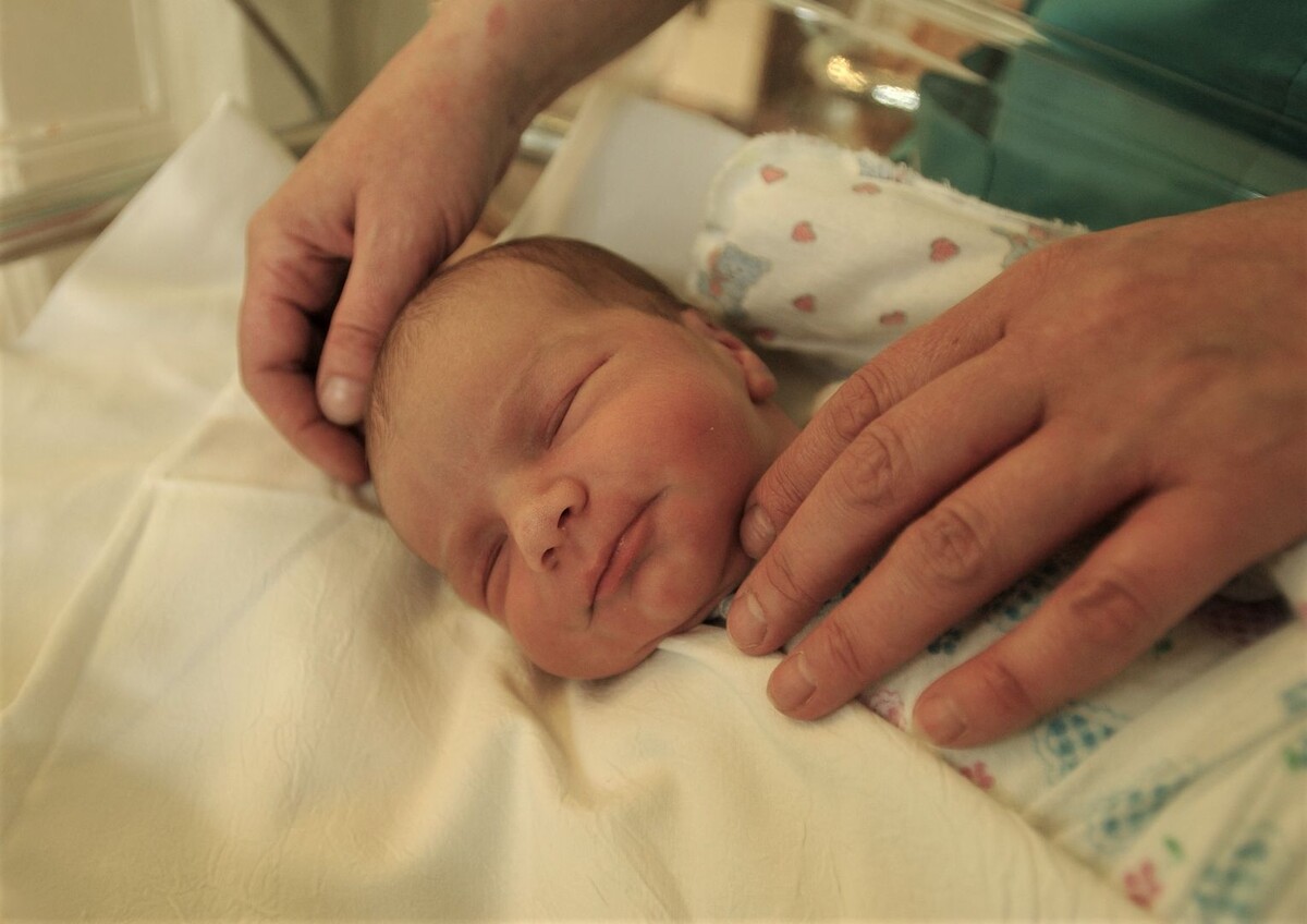     / Источник: © Global Look Press