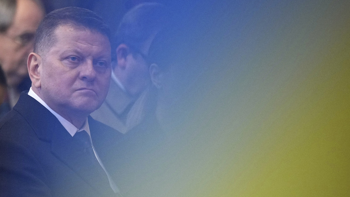   Kin Cheung / AP- Валерий Залужный