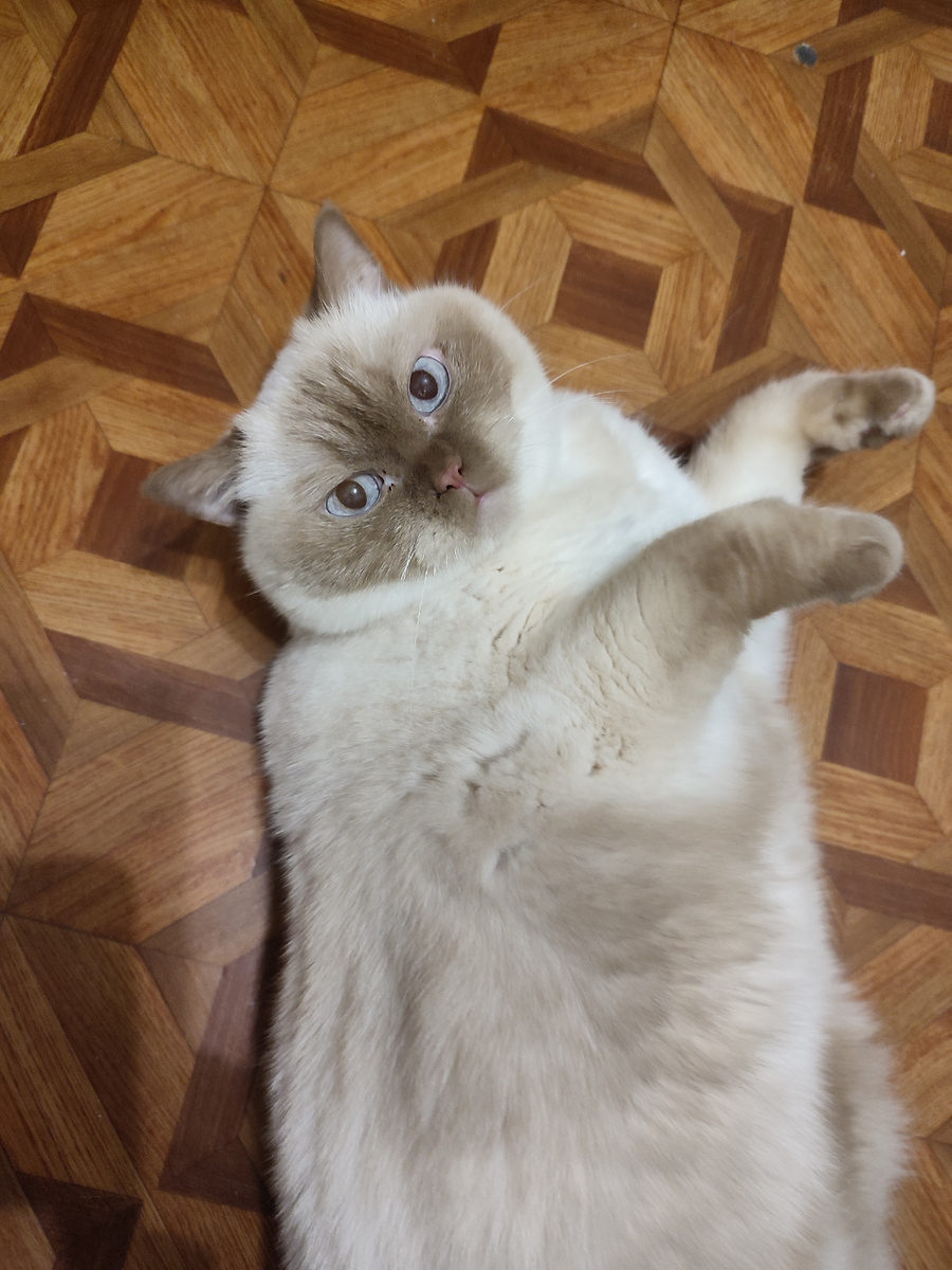 Немного позитива