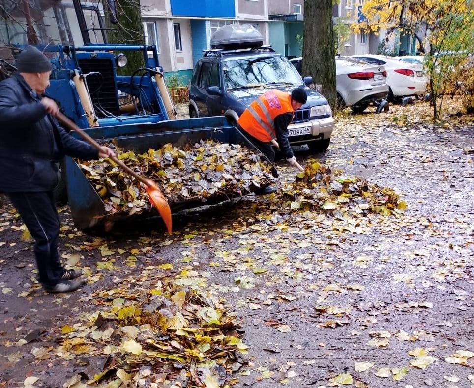 Фото: администрация города Курска