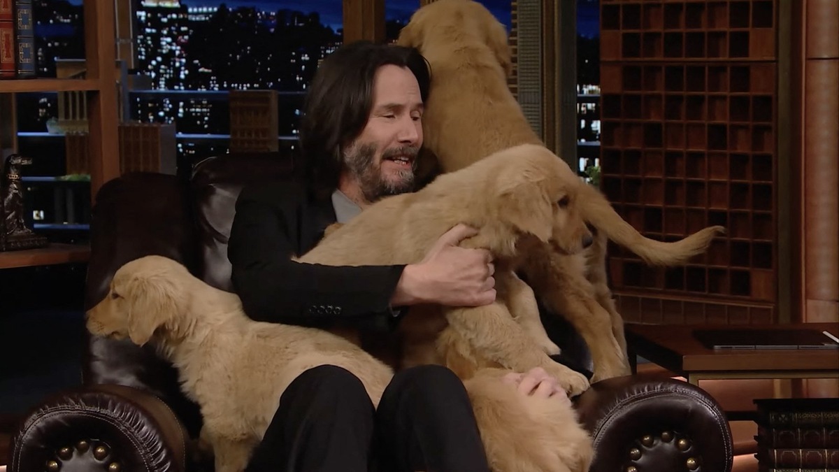    Приют, открытый Киану, самый большой в мире