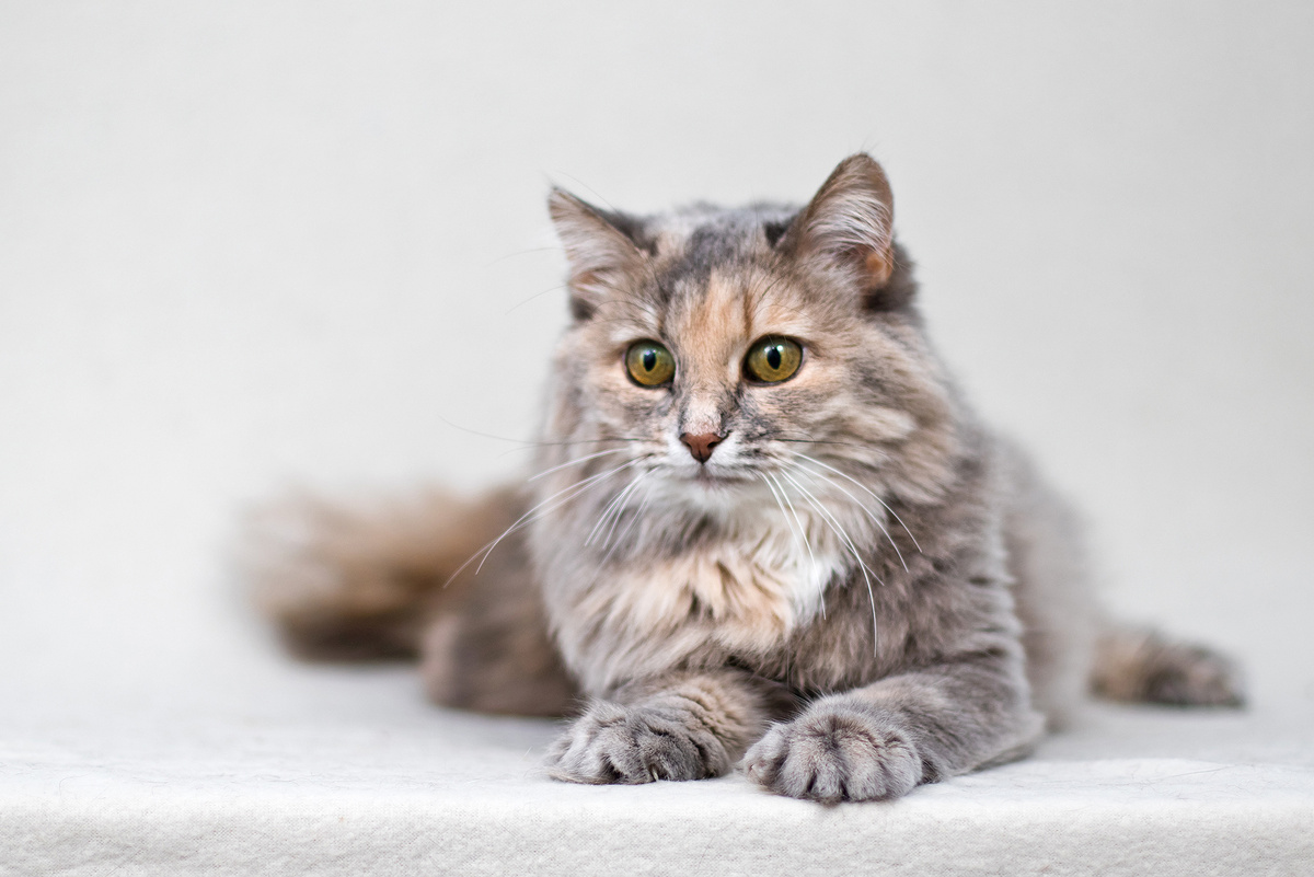 Да. До сих пор никто не взял