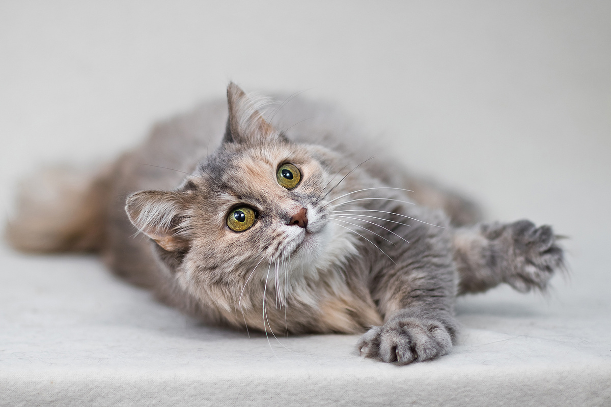 Но я не расстраиваюсь