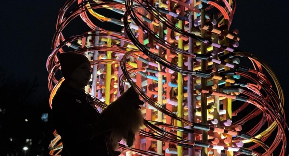    Министерство благоустройства МО