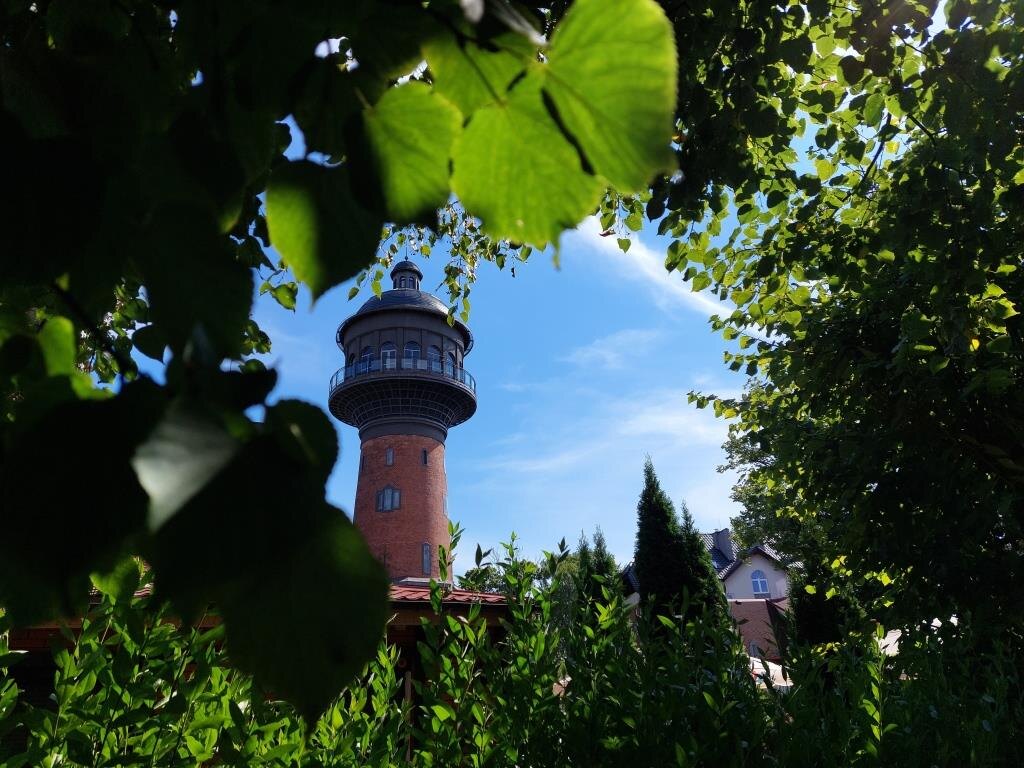 Очень зеленоградский кадр.