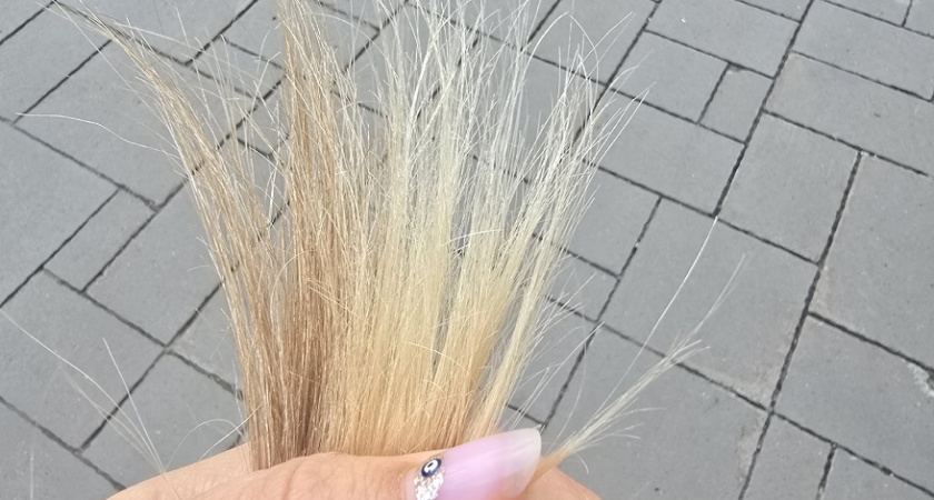    Фото Анастасии Дмитриевой