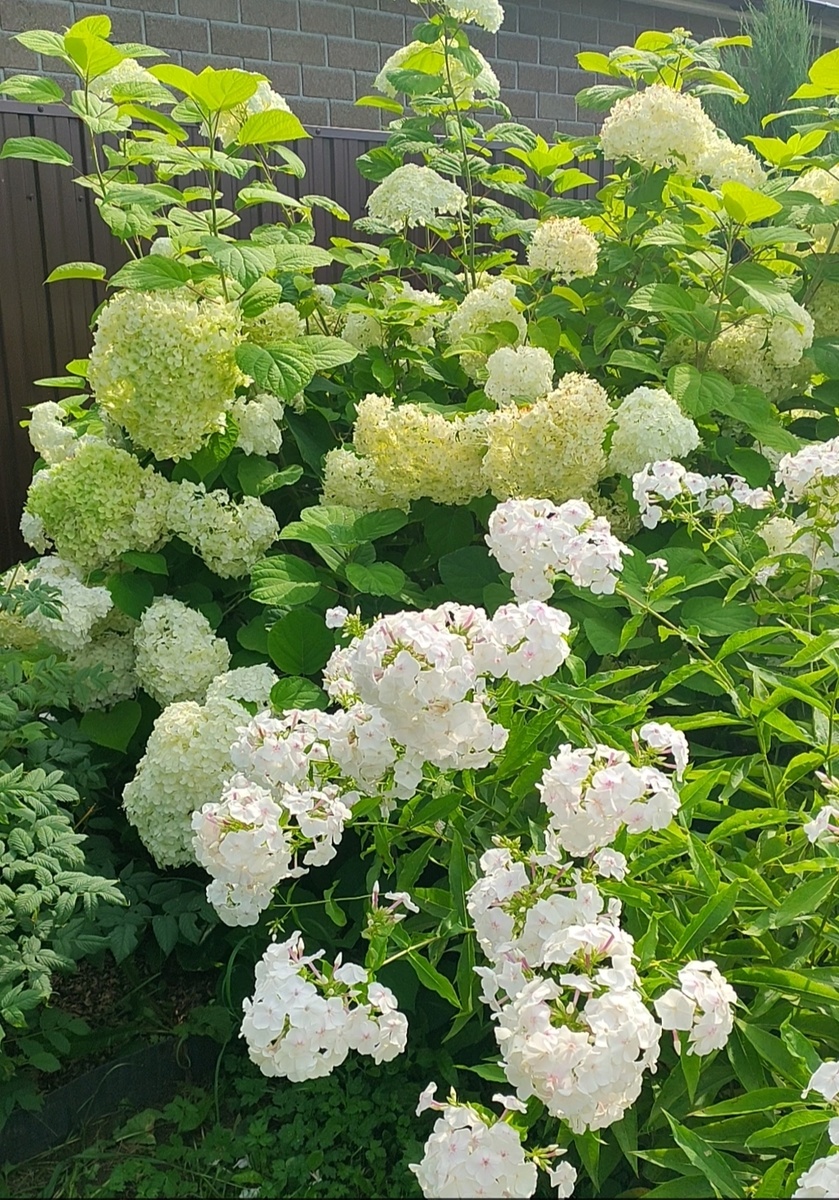 В галерее 10 фото, листайте