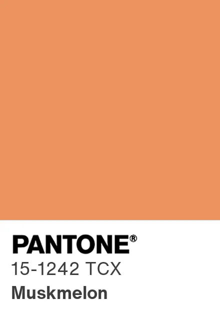 Источник: Pinterest, Pantone 