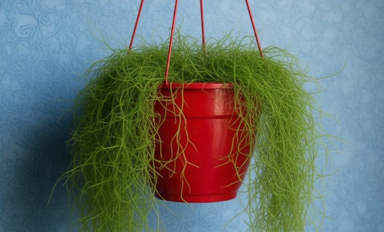    Фото: Медведева Анна, AgroXXI.ru