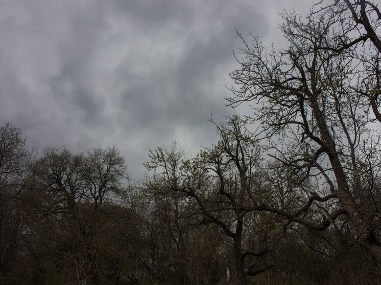     10 декабря ожидается повышение температуры на несколько градусов. Фото: Архив МК в Великом Новгороде