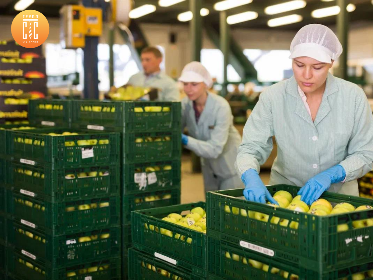 Компания «СТС Групп» полностью берёт на себя организацию рабочей силы для вашего бизнеса