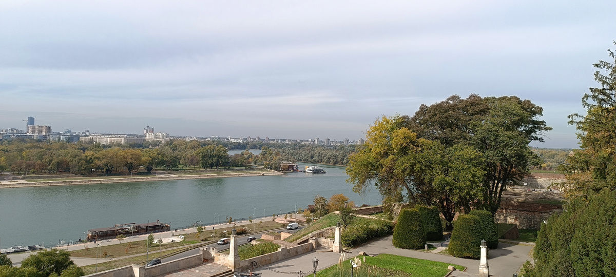 Дунай, Сава