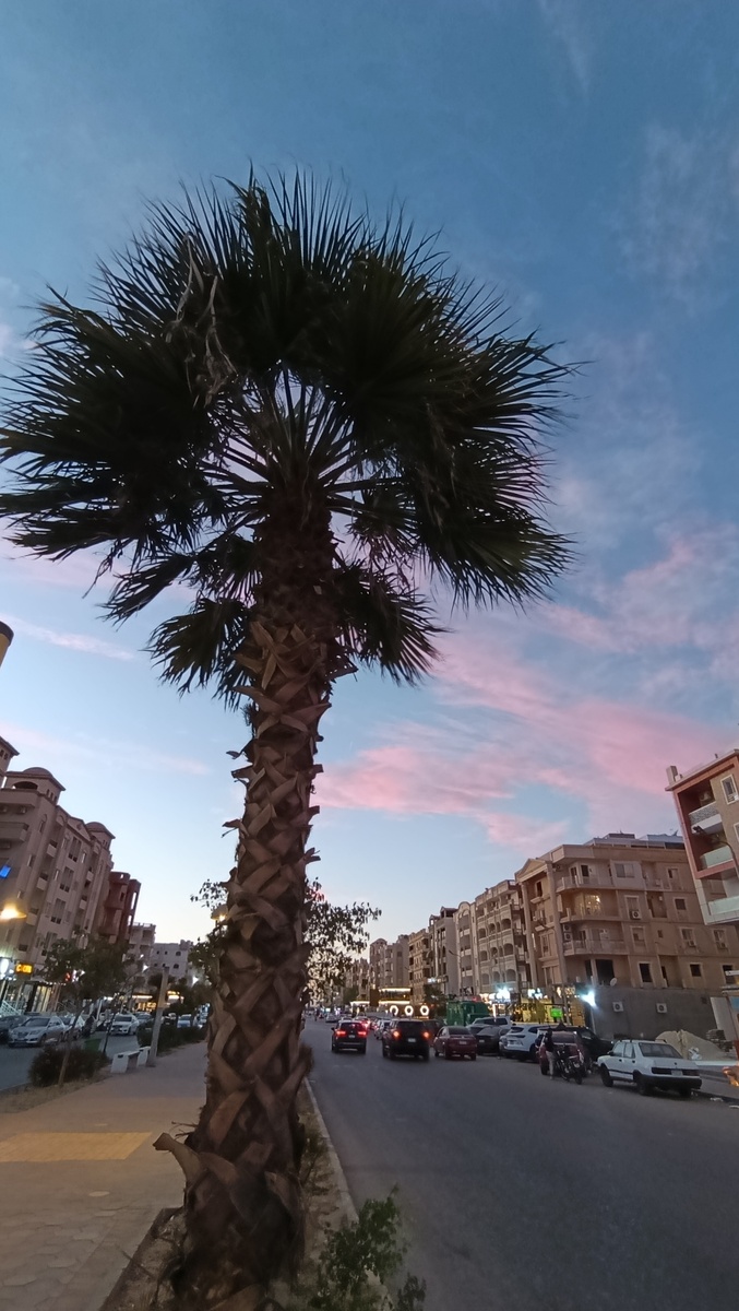 Улицы Хургады