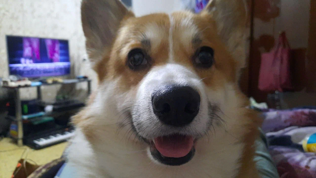 Приветсвует!