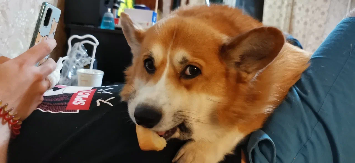 После долгой поездки 