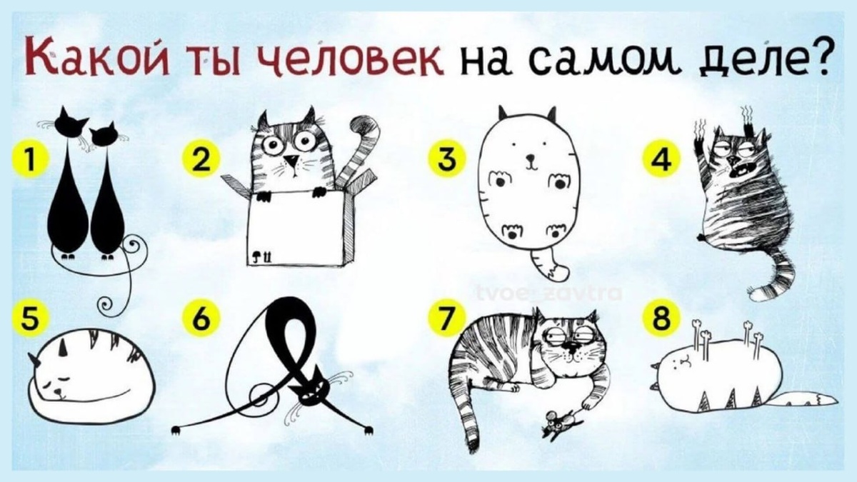 Изображение из интернета