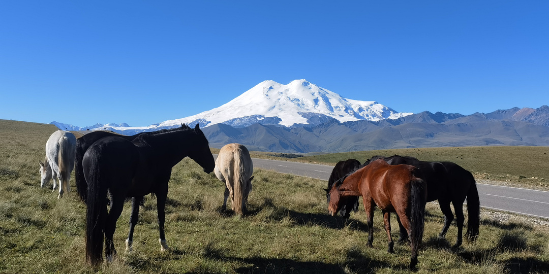 Объехать Эльбрус на машине за день: правда или миф? Три дороги к Эльбрусу из Кисловодска и не только.