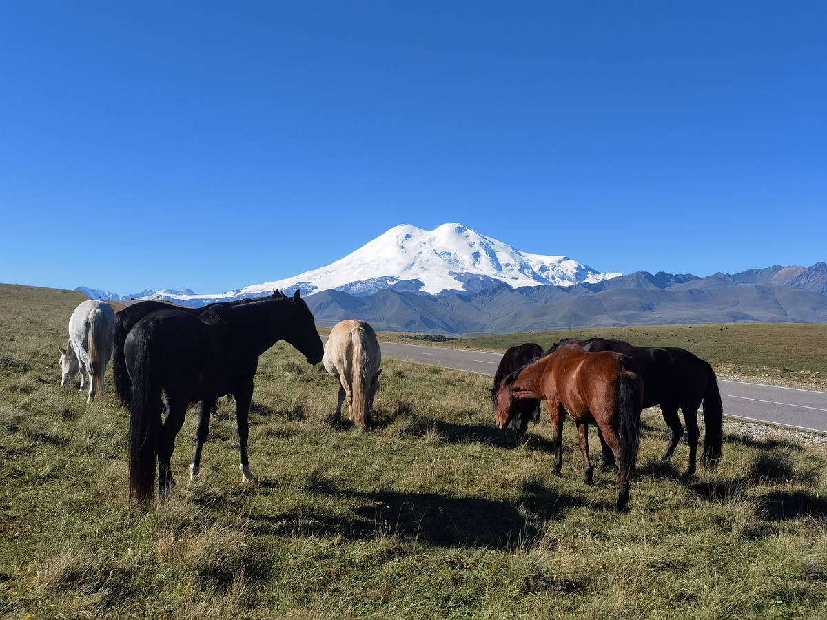 Эльбрус по дороге в Джилы-су. Фото автора