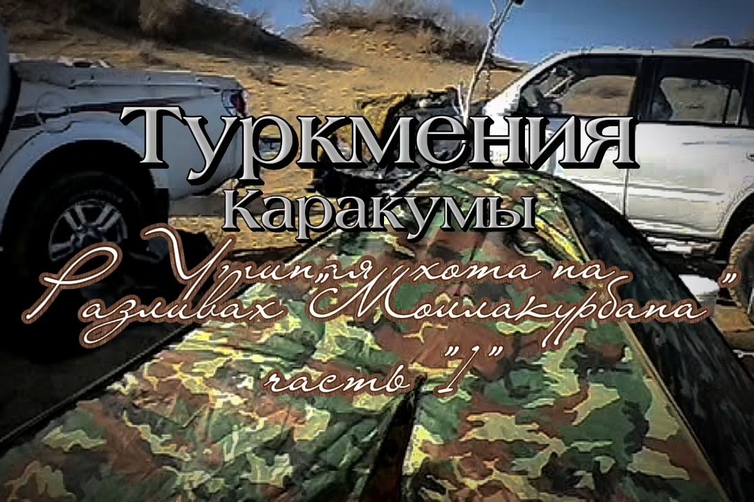 Разложились и поставили лагерь.В конце статьи есть видео, очень рекомендую посмотреть 👍.