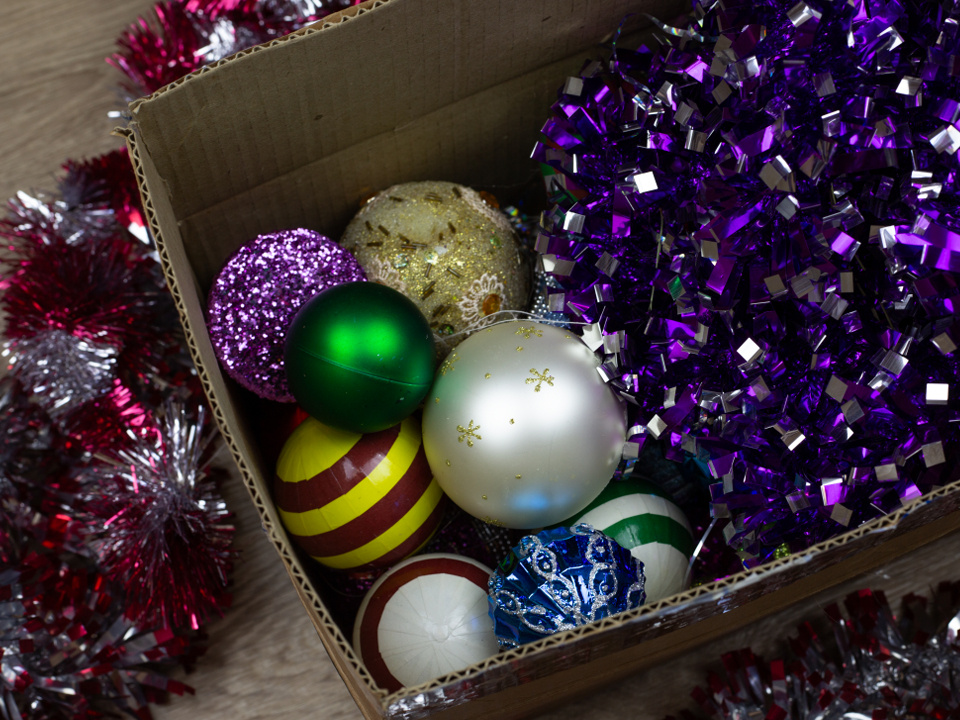    Фото: istockphoto.com/Timur Malazoniia