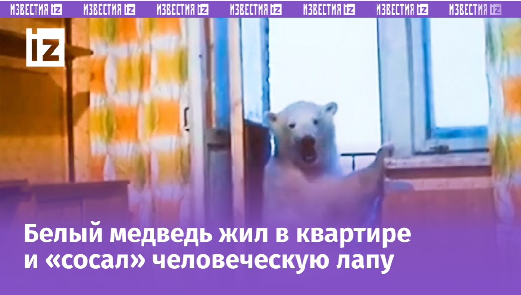 Фото с сайта Пятого канала