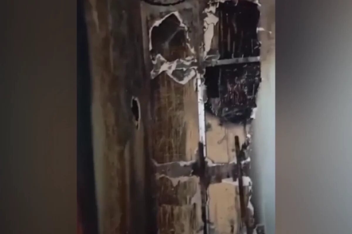    Последствия пожара в воронежском котокафе показали на видео