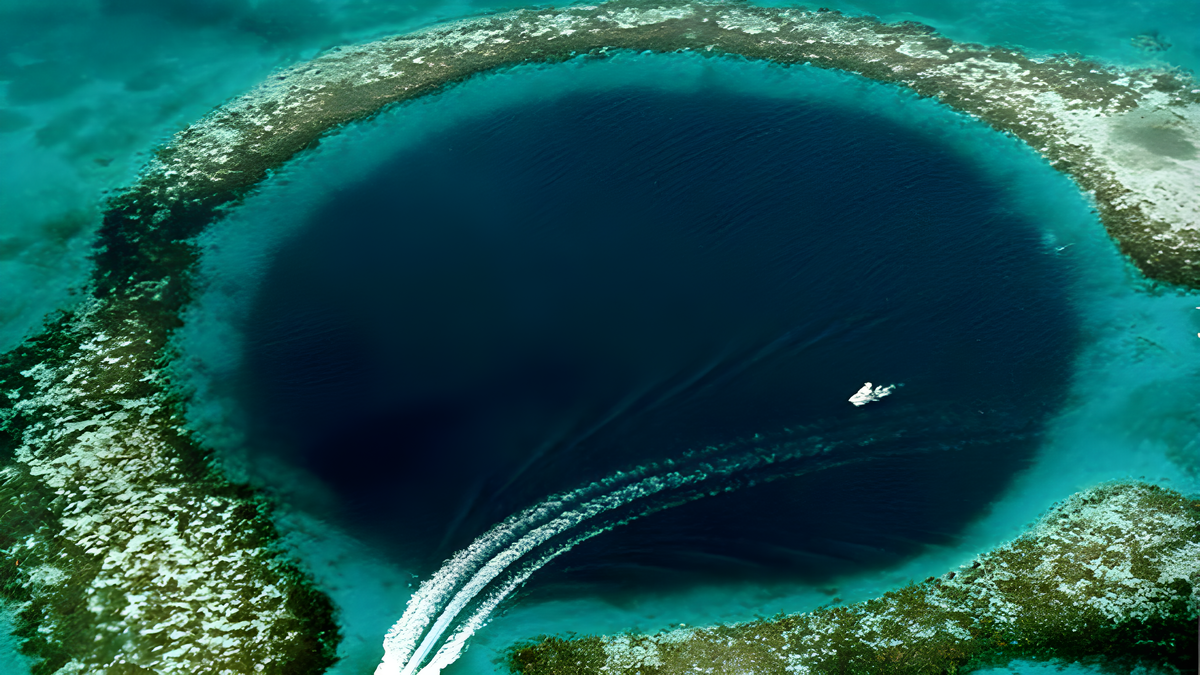    Фото: commons.wikimedia.org