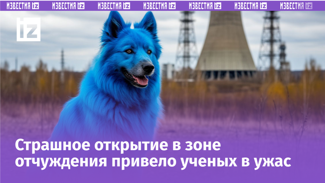 Фото с сайта Пятого канала