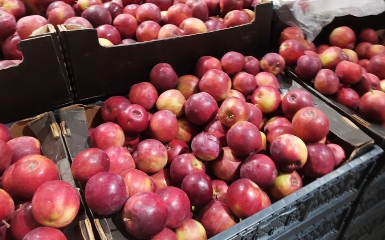    Фото: Лукьянов Дмитрий, AgroXXI.ru