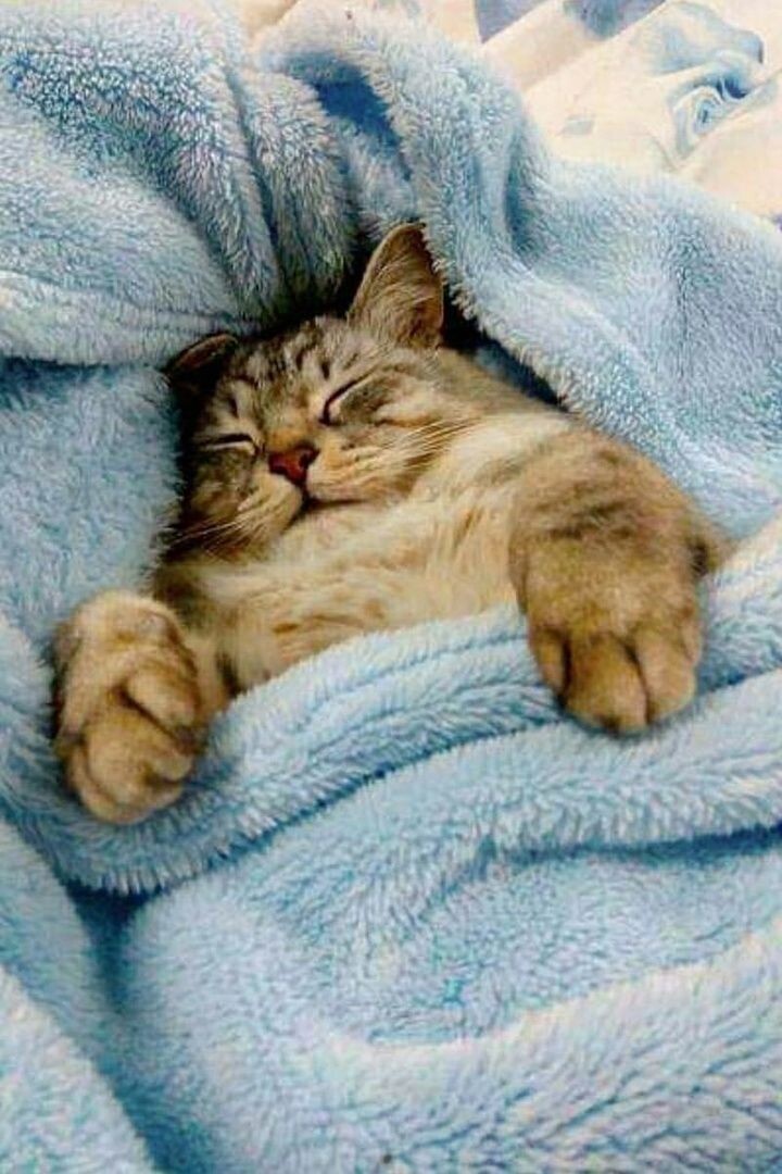 спокойной ночи!) а..нет - лайк и подписка ❤️