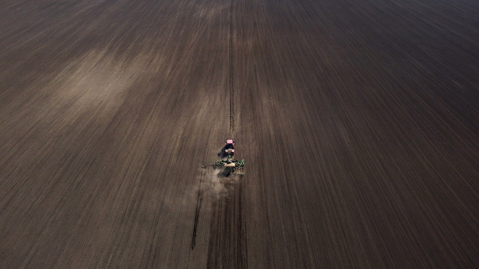 Фото: Влад Некрасов / Коммерсантъ