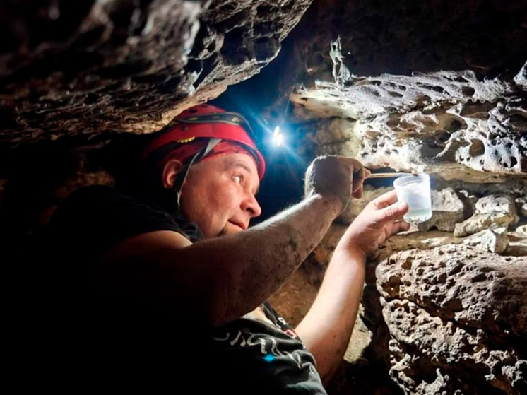     фото: пресс-служба правительства липецкой области