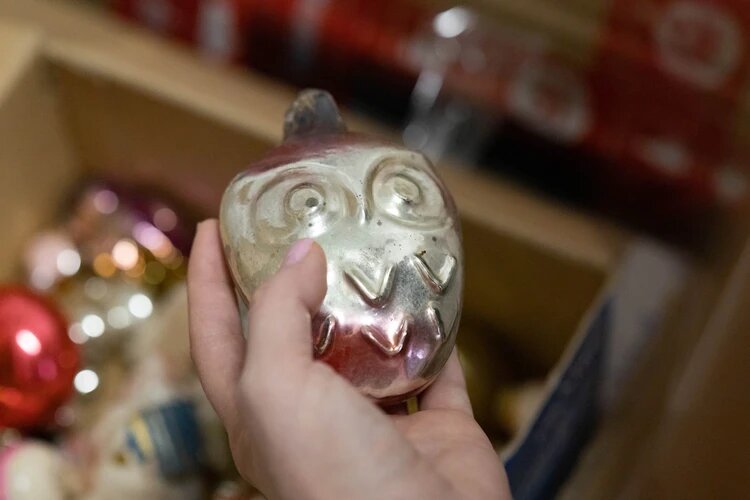 Фото: Любовь Ланчева / сhel.kp.ru / предоставлено для публикации hornews.com