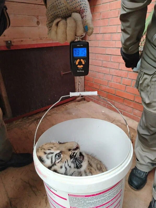 Автор фото Т.С.Демина