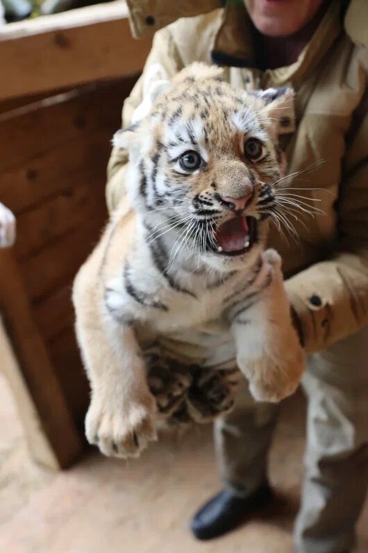 Автор фото С.А.Хлюпин