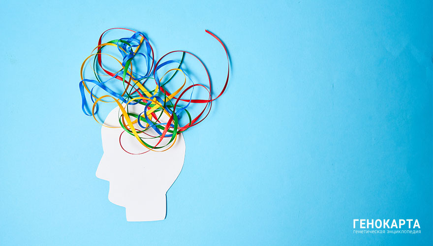 Fabian Montano Hernandez // shutterstock.com