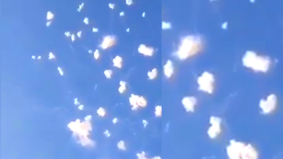 Воздушные мины Jaljaleh против дронов показал Иран