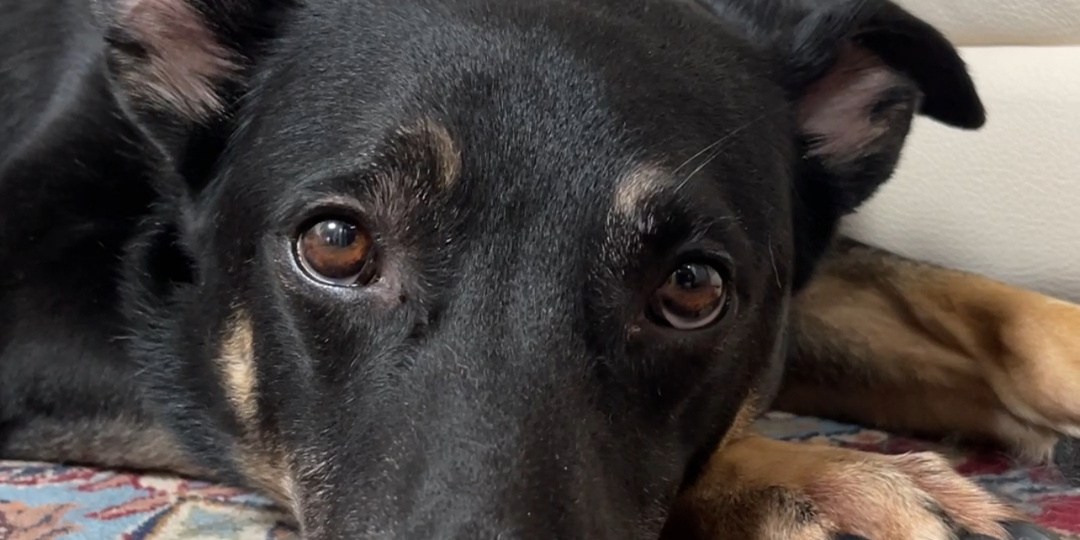 Меня пытались выгнать из дома