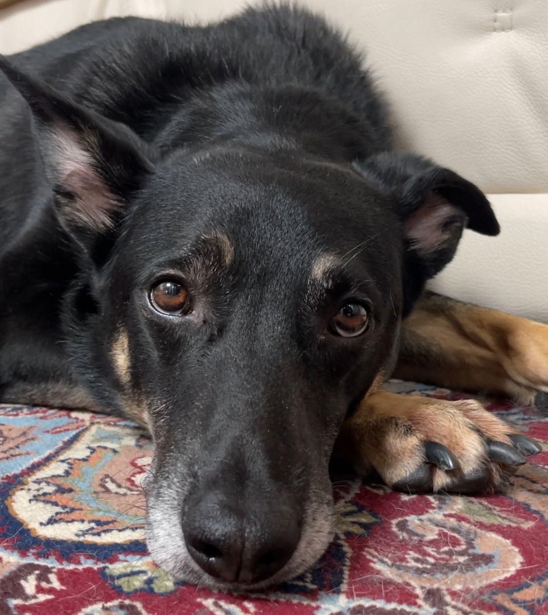 Ну-ну, уговаривайте меня