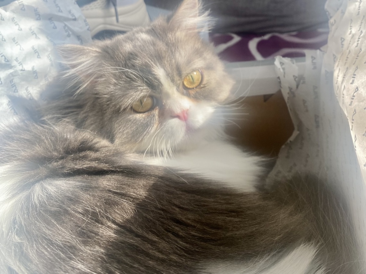 Бонька поддерживает меня 😻