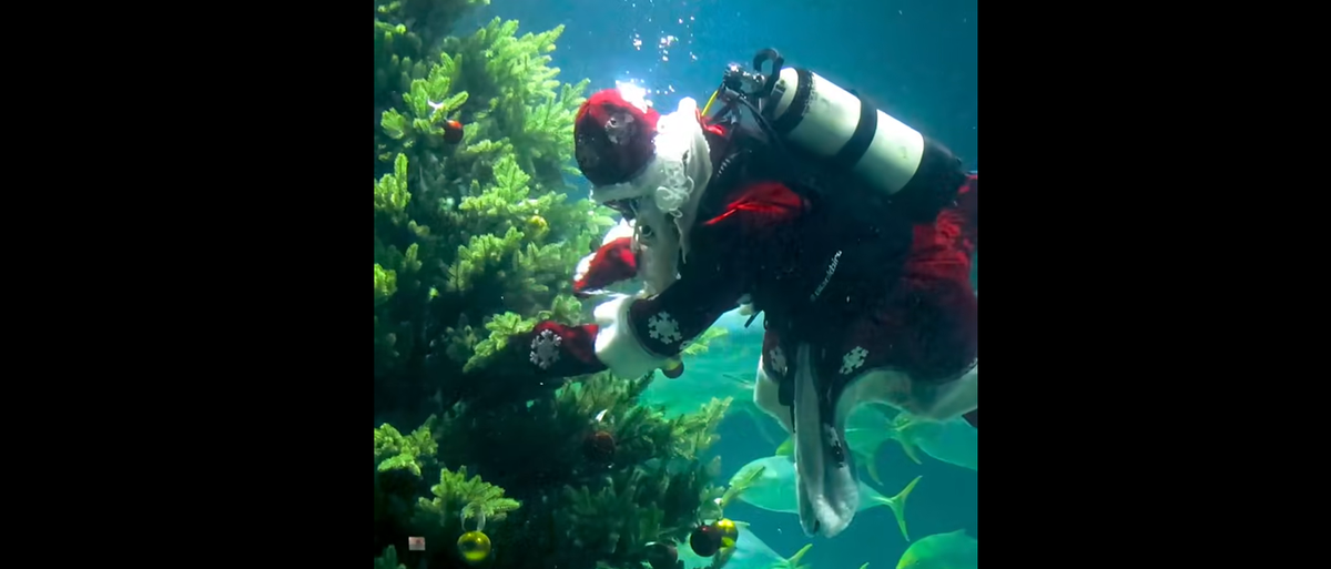    «Москвариум» / VK